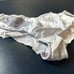 Julianna Rae Silk hiphuggers bikini bottoms size small