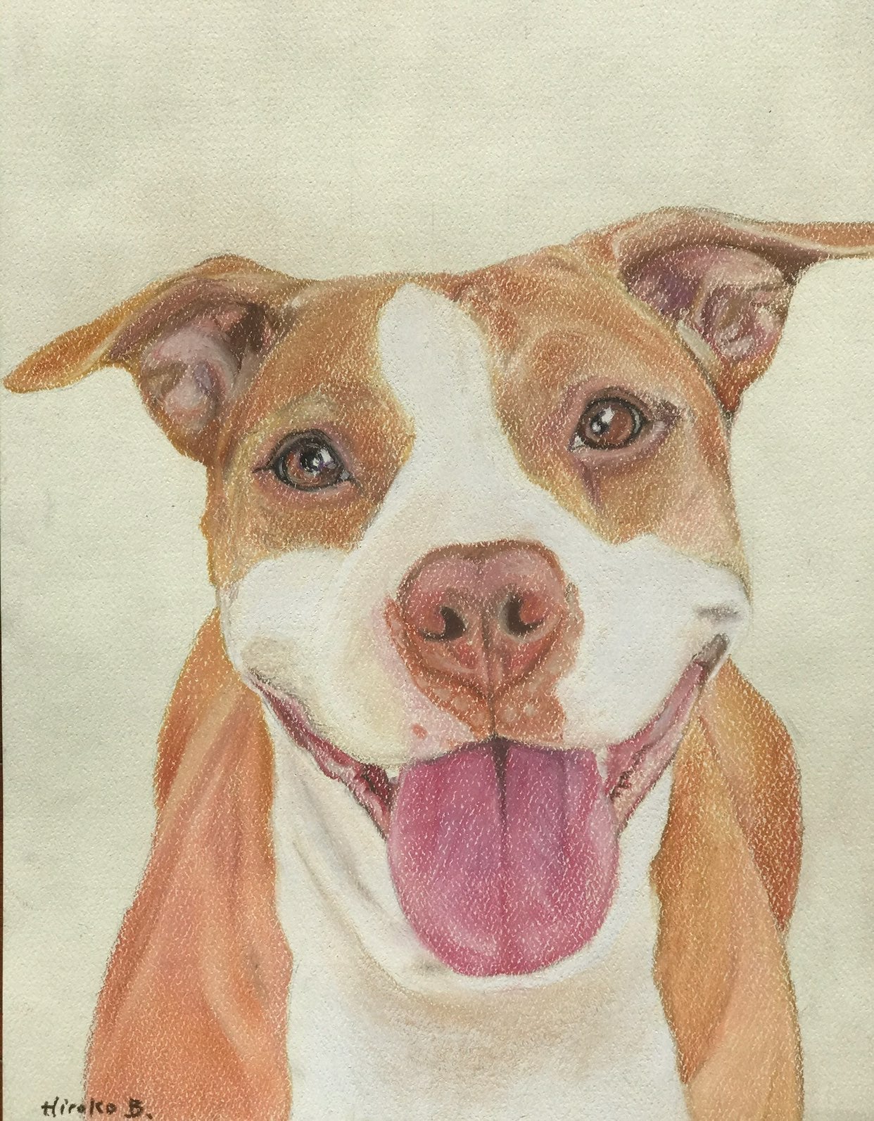Original pastel drawing of a pit bull