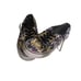 VANS Authentic x Disney Villain Women's US Size 7.5 Men’s’ Size US 6 RARE
