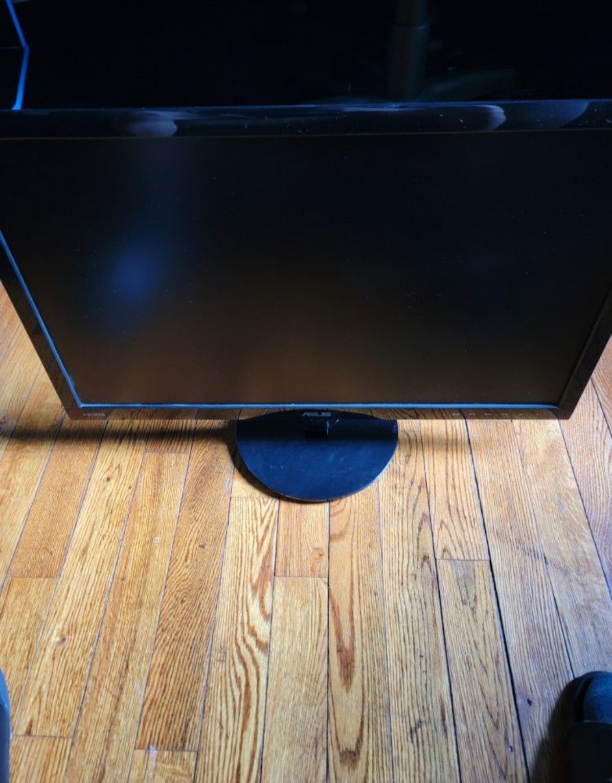 Asus monitor