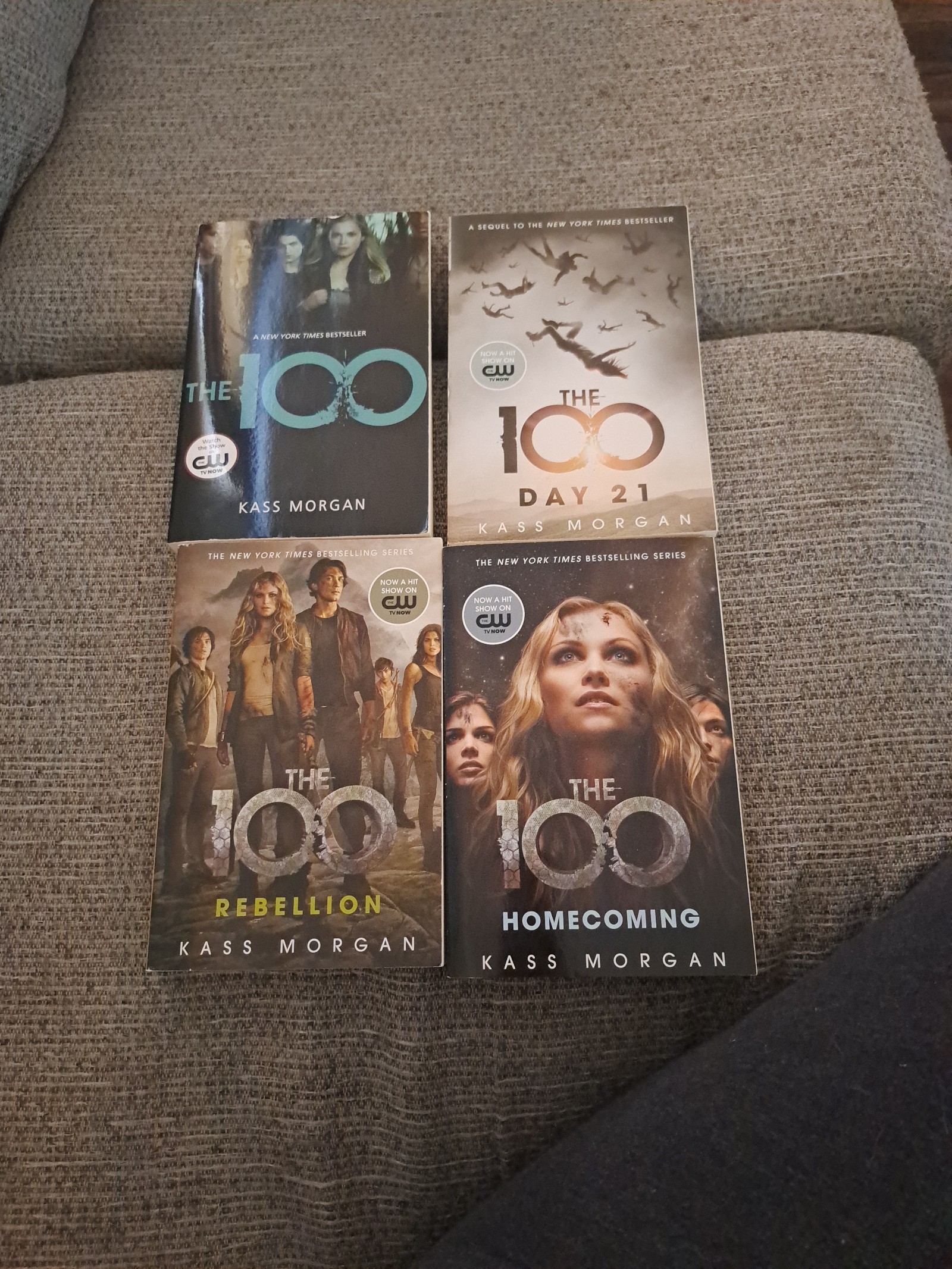 The 100 series