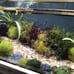 Beautiful terrarium peaceful and serene