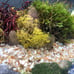 Beautiful terrarium peaceful and serene