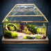 Beautiful terrarium peaceful and serene