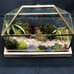 Beautiful terrarium peaceful and serene