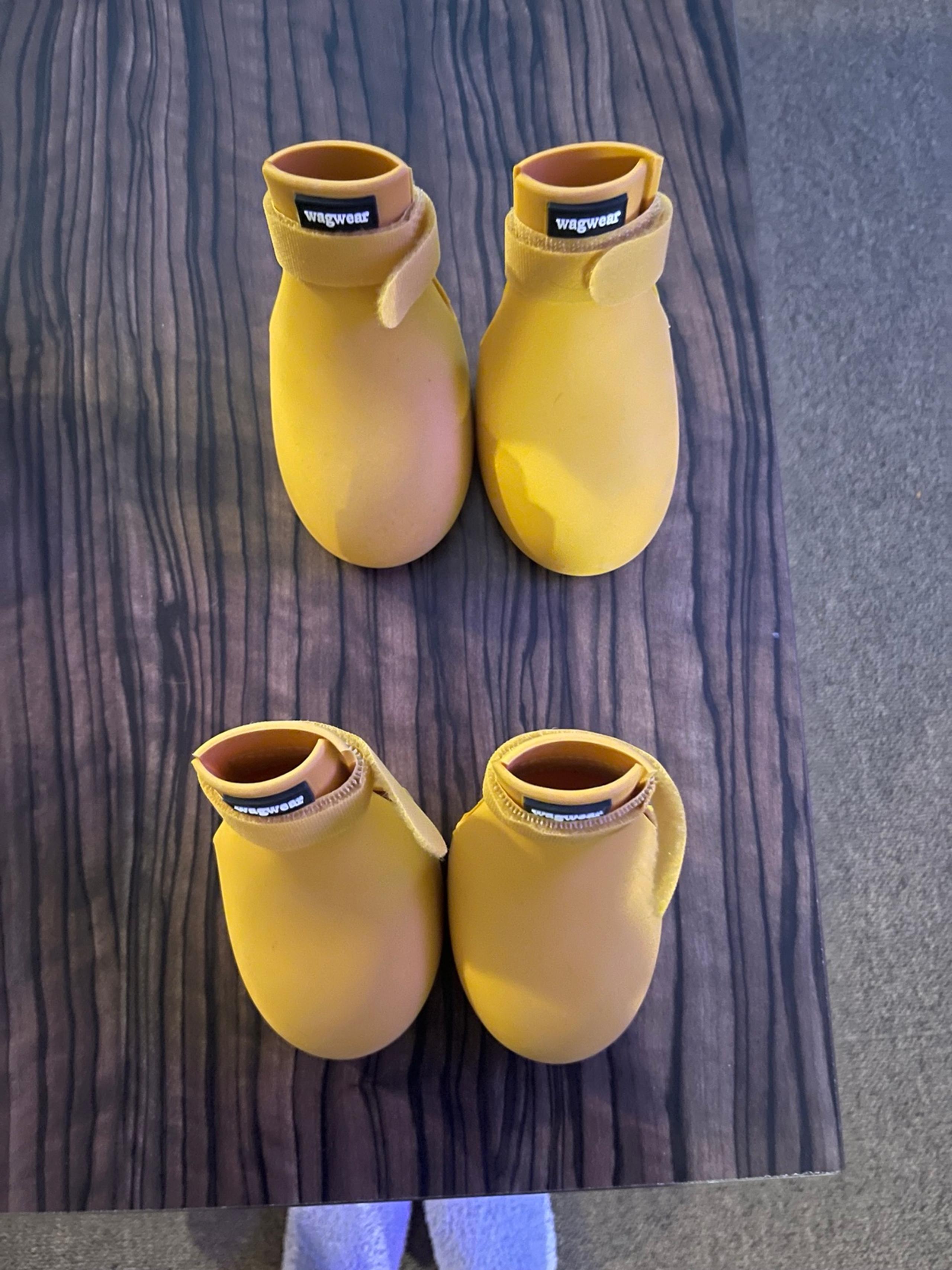 Dog shoes