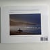 Concrete to saltwater book