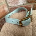 The hound collection leather collar & Leash Bundle