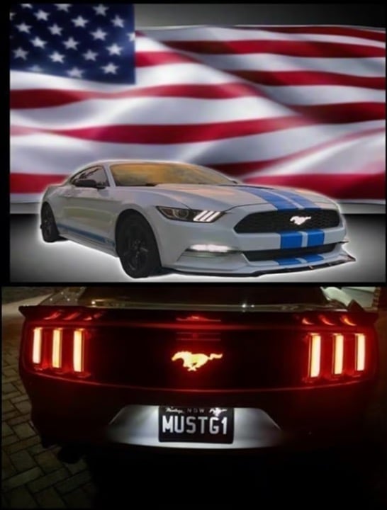 2015-24 Mustang Pony LED Illuminated Front Grille & Rear Tailgate Emblem Combo!
