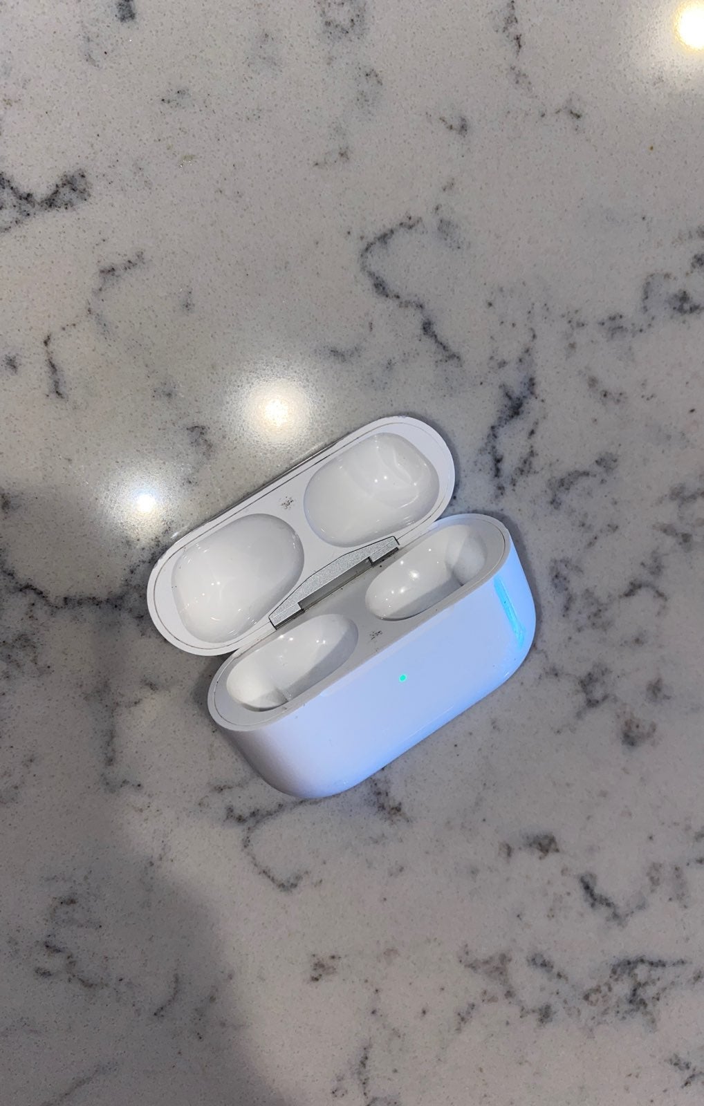 Apple Airpods Pro Charging Case