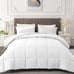 Queen Comforter Duvet Insert - All Season White Comforters Queen size