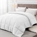 Queen Comforter Duvet Insert - All Season White Comforters Queen size