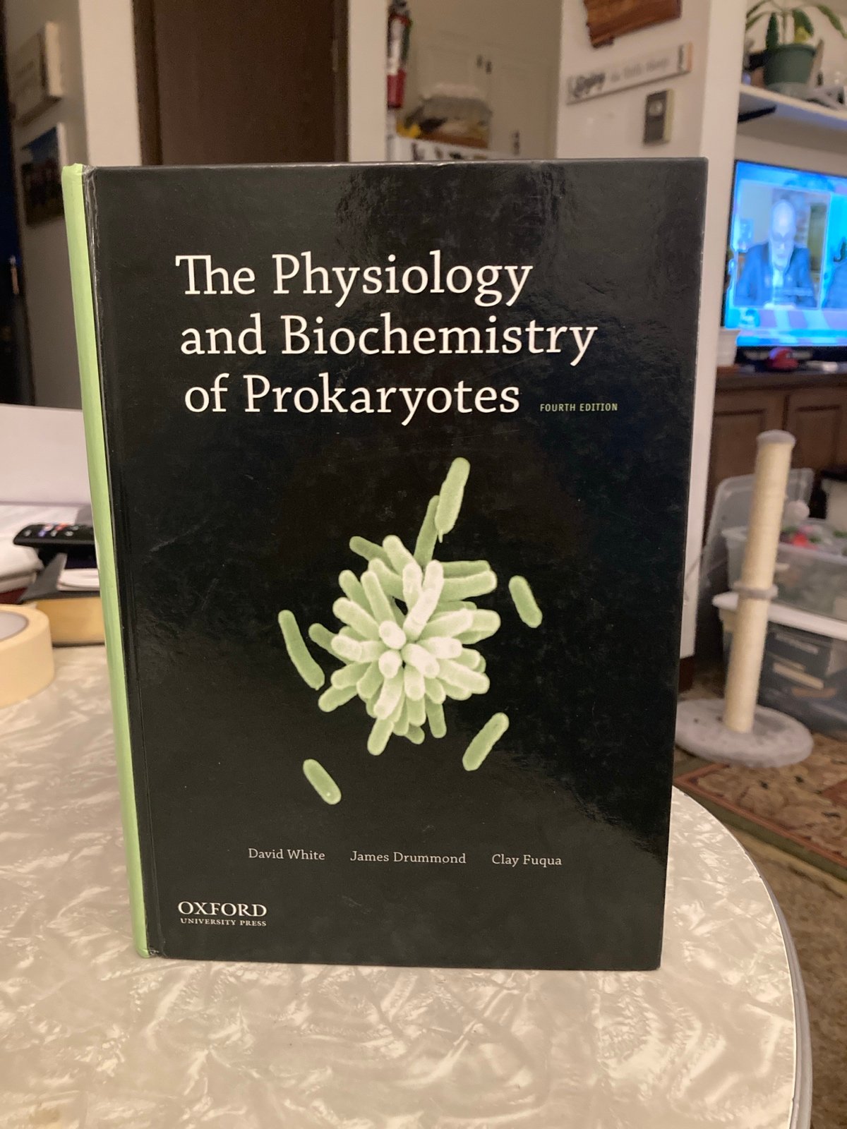 Text book, The Physiology and Biochemistry of Prokaryotic
