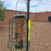 Gray Bunny Wild Bird Feeders Squirrel Proof for Outside Hanging, 1.25 lb