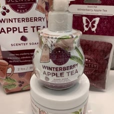 Scentsy Winterberry Apple Tea Bundle of 4