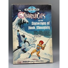 The Thundercats And The Snowmen Of Hook Mountain Find Your Fate Fantasy 4 Book