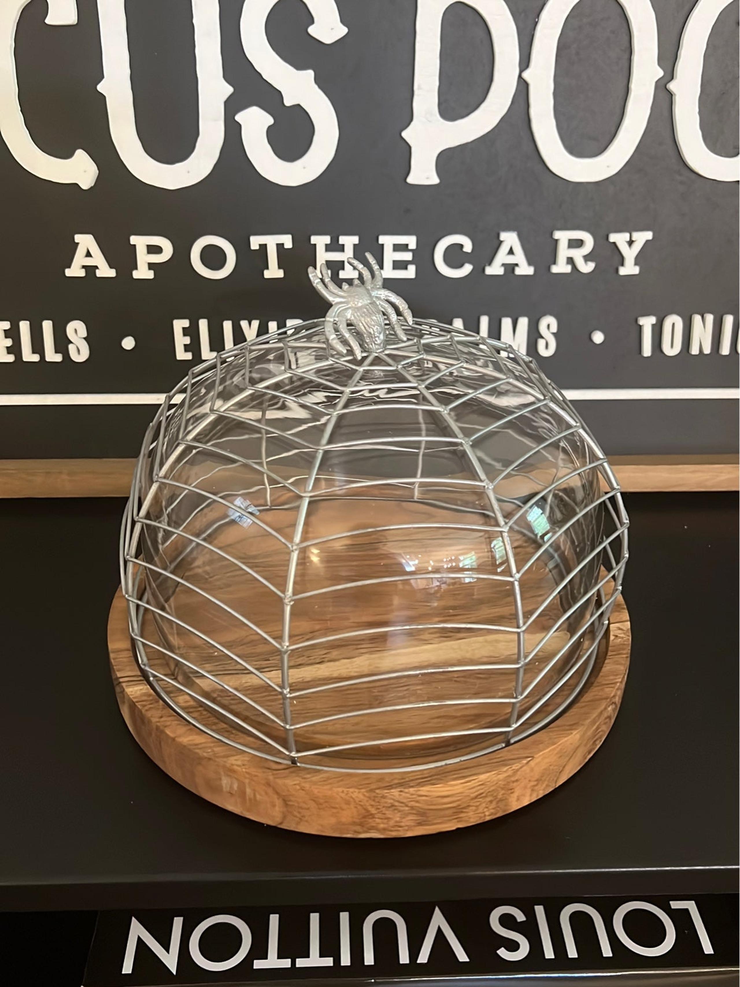 Halloween spiderweb tray cupcake cake stand cloche boho