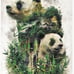Diamond art club/Giant Panda by Barrett Biggers/Sealed