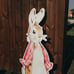Peter Rabbit Yard Decor