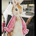 Peter Rabbit Yard Decor