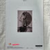 EXO KAI Peaches Signed Promo Album Autographed + Message