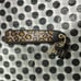 Victoria's Secret Leopard wristlet strap keychain