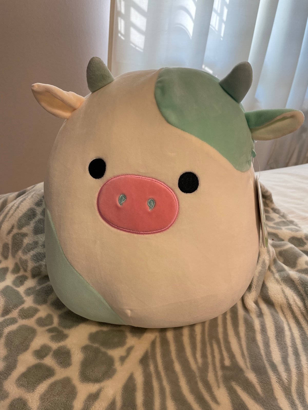 12” Ronnie and Belana Cows