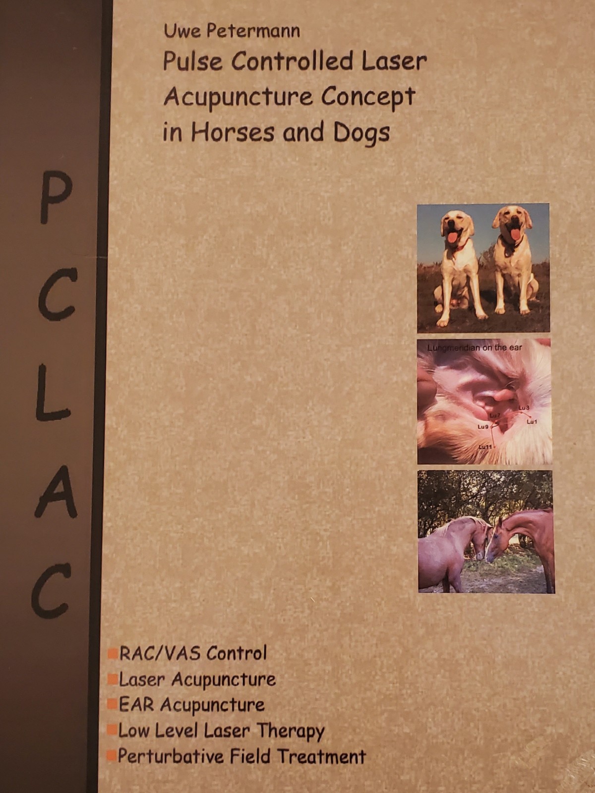 Horse Treatments