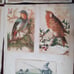 Lot D 50 pc VINTAGE ADVERTISING CIRCA 1840-80 SCRAPBOOKING PAGES ART