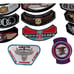 Lot 30 Vintage HOG Harley Davidson Owners Group Patches 80s 90s 00s