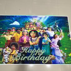 Encanto party supplies