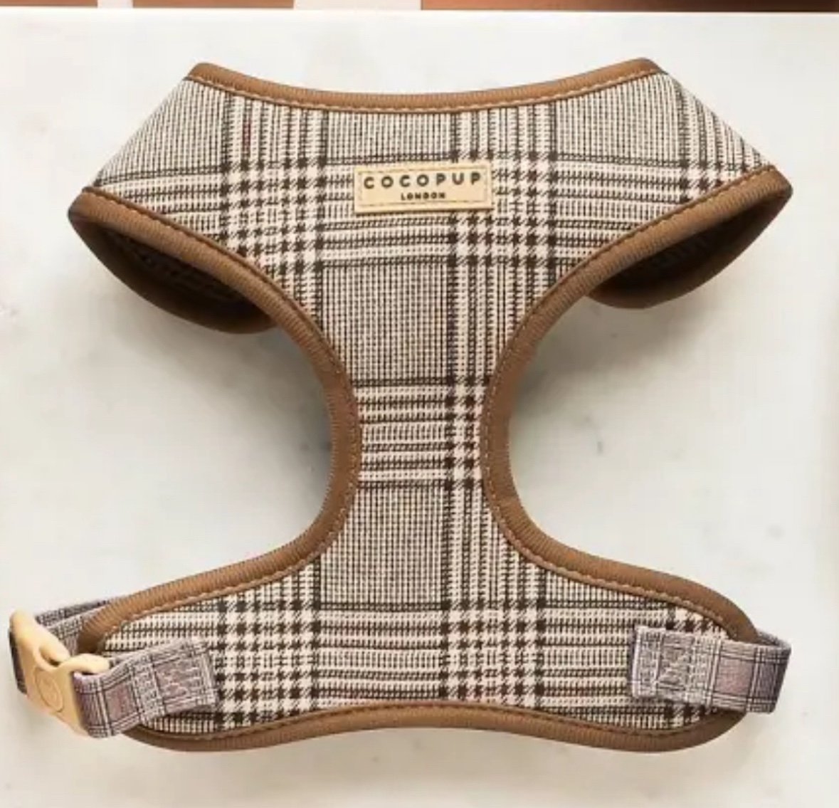 dog harness small