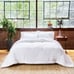 NWT Queen Buffy Bedding cloud comforter Full queen Tencel Lyocell Soft Cozy