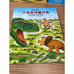 New The Adventure of Dinosaurs 5 Volumes Chinese Edition Paperback Book Set