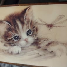 Reuge Wooden Hinged Music Box Kitten & Dragonfly - Plays Brahmas Lullaby.