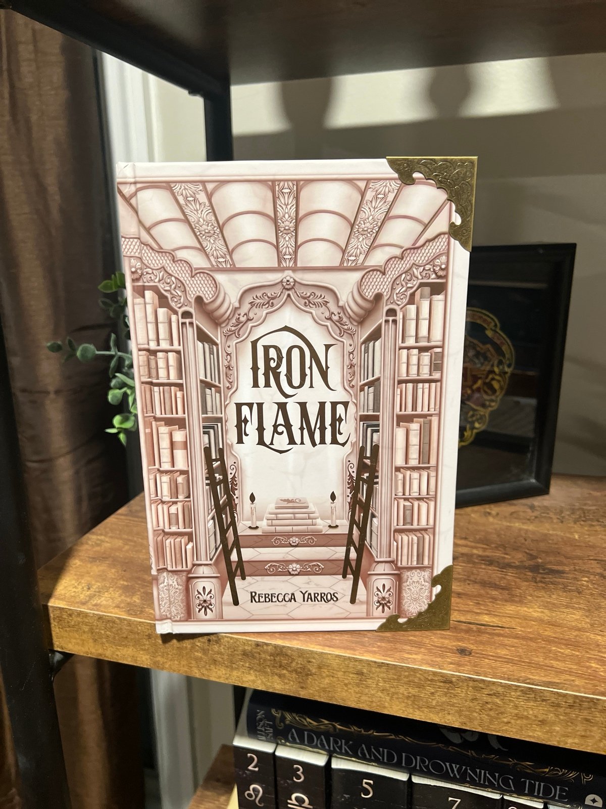 Bookish Box special edition Iron Flame by Rebecca Yarros