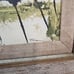Vintage William Thon Coastal Autumn Abstract Watercolor Printed Framed w/Glass