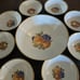 Vintage Bavaria Germany Schindig Fruit Dessert Bowls and Serving Bowl 9 piece