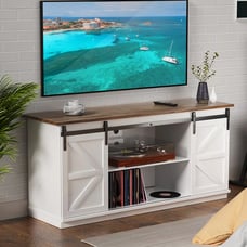 Farmhouse Sliding Barn Door TV Stand for TVs up to 65\