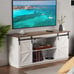 Farmhouse Sliding Barn Door TV Stand for TVs up to 65\