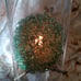Crystal Cylinder Light