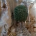 Crystal Cylinder Light