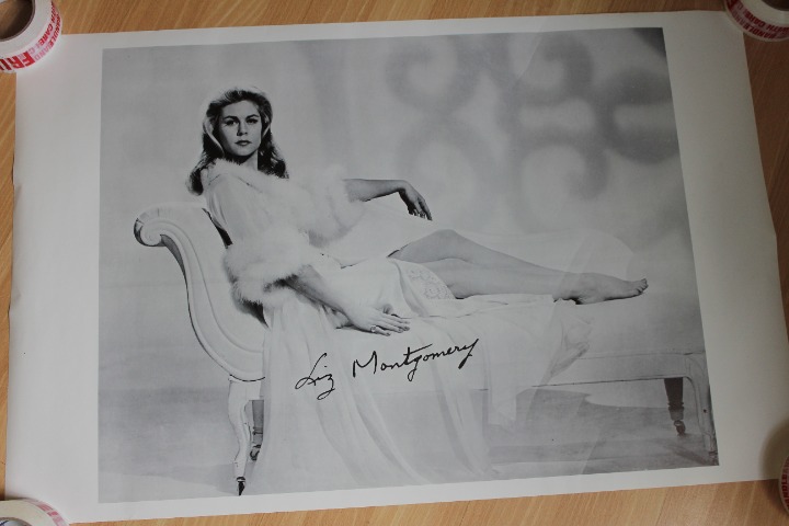 Original Liz Montgomery poster BLACK & WHITE old vintage NO RIPS TEARS 35x22.5