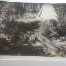 William M. McCarthy Photograph Collectio