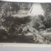William M. McCarthy Photograph Collectio