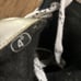 Bauer Vapor Hockey Skates Size 4