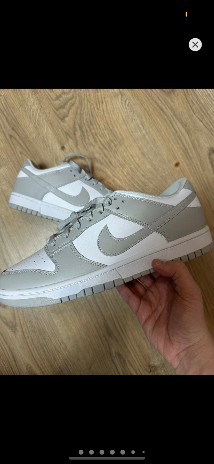 Dunk Low