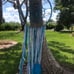 Dream catcher large