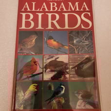 Birds of Alabama Identification Book [C-8]