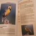 Birds of Alabama Identification Book [C-8]